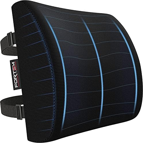 FORTEM Lumbar Support Office Chair, Lumbar Support Pillow For Car, Office Chair Back Support, Lumbar Pillow For Desk Chair, Memory Foam Back Cushion, Washable Cover (Mesh, Black)