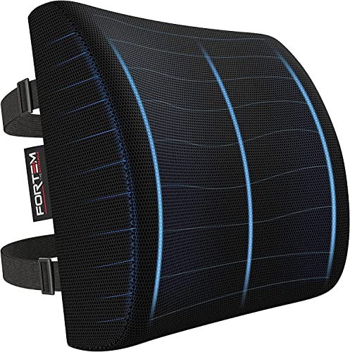  FORTEM Lumbar Support Office Chair, Lumbar Support Pillow For Car, Office Chair Back Support, Lumbar Pillow For Desk Chair, Memory Foam Back Cushion, Washable Cover (Mesh, Black)