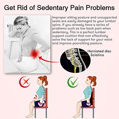  Lumbar Support Pillow For Office Chair Back Cushion - Improve Posture While Sitting For Back Pain Relief - Memory Foam Cushion Design For Computer, Desk, Car, Gaming, Couch, Recliner With Mesh Cover