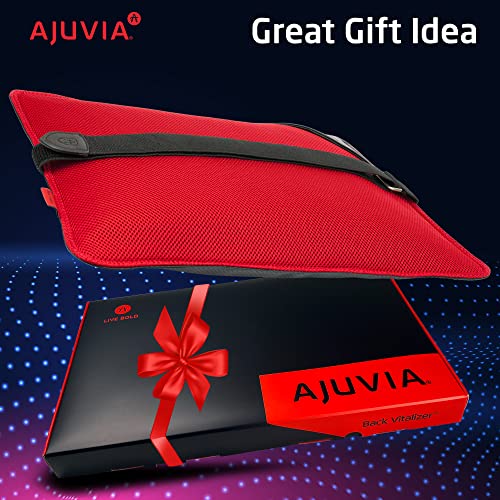  AJUVIA Back Vitalizer - Car Lumbar Support For Driving Seat - Car Pillow For Driving Seat - Lumbar Support For Office Chair Back Support Lumbar Cushion - Back Support For Car Seat Driver