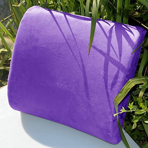  Bookishbunny Premium Memory Foam Lumbar Support Cushion Pillow (Pink)