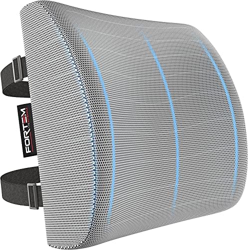  FORTEM Lumbar Support Office Chair, Lumbar Support Pillow For Car, Office Chair Back Support, Lumbar Pillow For Desk Chair, Memory Foam Back Cushion, Washable Cover (Mesh, Black)