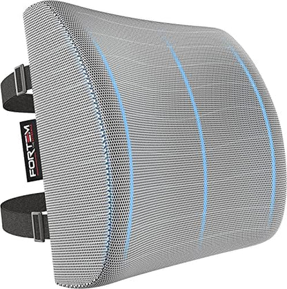  FORTEM Lumbar Support Office Chair, Lumbar Support Pillow For Car, Office Chair Back Support, Lumbar Pillow For Desk Chair, Memory Foam Back Cushion, Washable Cover (Mesh, Black)
