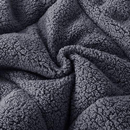  Luxury Plush Sherpa Comforter, Ultra Soft Cozy Reversible Fleece - Goose Down Alternative Fill, Machine Washable Bedding, Excalibur Grey, Twin/Twin XL Size