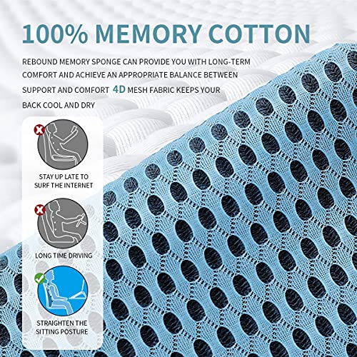  Kasney Lumbar Support Pillow Ergonomic Memory Foam Lumbar Pillow, Relieve Back Pain, CMFY Breathable & Detachable & Washable, Perfect Back Pillow For Office Chairs, Car Seats, Beds (Blue)