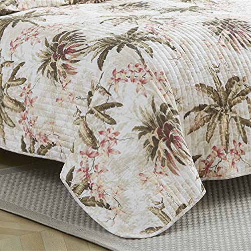 Tommy Bahama - Quilt Set, Reversible Cotton Bedding With Matching Shams, Lightweight Home Decor For All Seasons (Bonny Cove Ivory, King)
