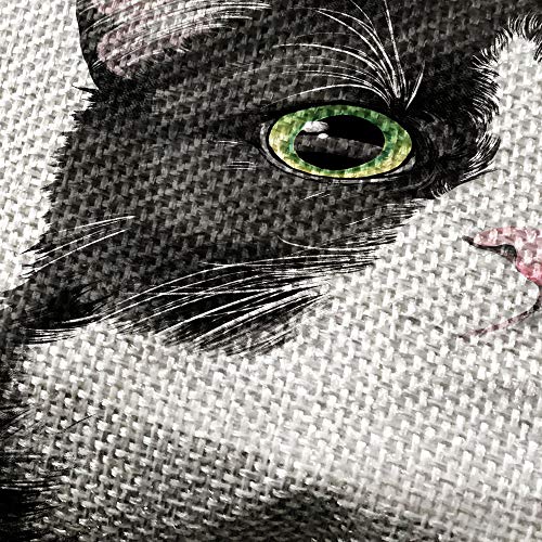  WIRESTER Sofa Pillow Case, Decorative Throw Pillow Cushion Cover For Home Office 18 X 18 Inch, Cute Tuxedo Cat
