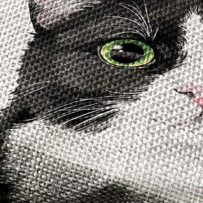  WIRESTER Sofa Pillow Case, Decorative Throw Pillow Cushion Cover For Home Office 18 X 18 Inch, Cute Tuxedo Cat