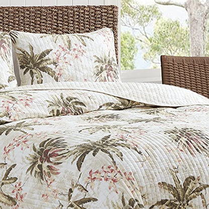  Tommy Bahama - Quilt Set, Reversible Cotton Bedding With Matching Shams, Lightweight Home Decor For All Seasons (Bonny Cove Ivory, King)